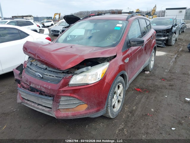 2014 Ford Escape S მანქანა იყიდება აუქციონზე, vin: 1FMCU0F71EUC25402, აუქციონის ნომერი: 12563794