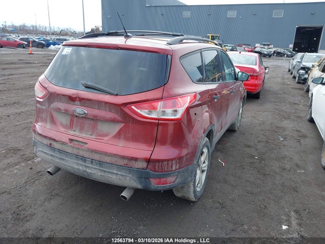 2014 Ford Escape S მანქანა იყიდება აუქციონზე, vin: 1FMCU0F71EUC25402, აუქციონის ნომერი: 12563794