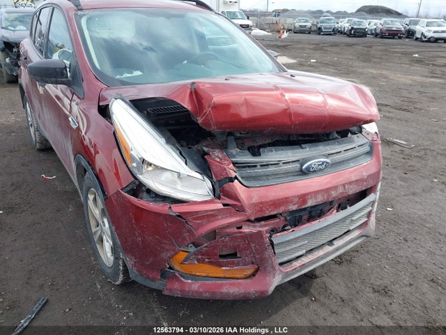 2014 Ford Escape S მანქანა იყიდება აუქციონზე, vin: 1FMCU0F71EUC25402, აუქციონის ნომერი: 12563794