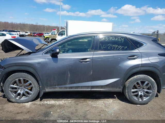 2021 Lexus Nx 300 Base/300 Luxury/300 F Sport მანქანა იყიდება აუქციონზე, vin: JTJGARDZ6M2244767, აუქციონის ნომერი: 12592854