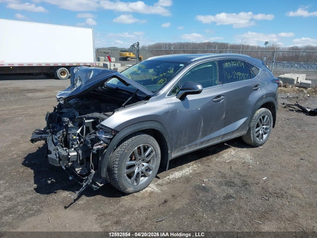 2021 Lexus Nx 300 Base/300 Luxury/300 F Sport მანქანა იყიდება აუქციონზე, vin: JTJGARDZ6M2244767, აუქციონის ნომერი: 12592854