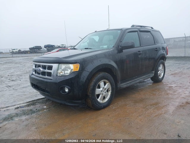 2010 Ford Escape მანქანა იყიდება აუქციონზე, vin: 1FMCU9DG1AKD29028, აუქციონის ნომერი: 12592863