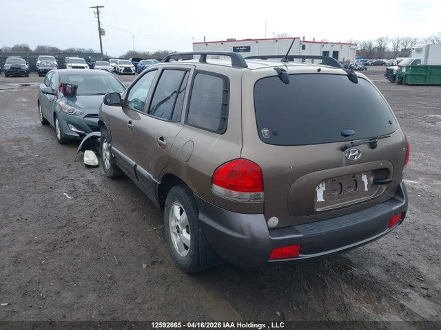 Auction sale of the 2005 Hyundai Santa Fe, vin: KM8SB13D95U924942, lot number: 12592865