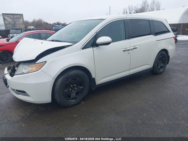 5FNRL5H46GB512313 Honda ODYSSEY EX