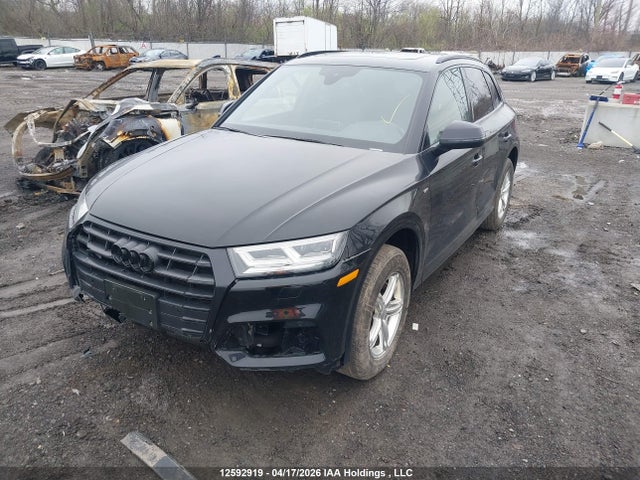 WA1ENAFY8L2053445 Audi Q5 Titanium Premium Plus