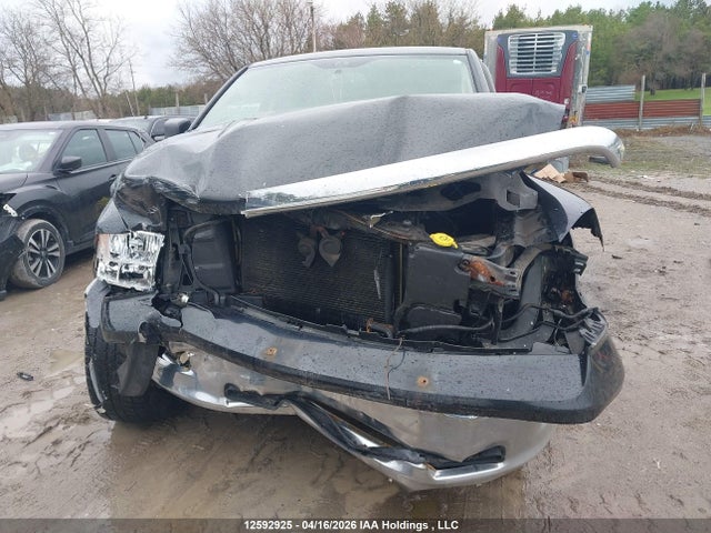 Продаж на аукціоні авто 2009 Dodge Ram 1500, vin: 1D3HV13TX9S754936, номер лоту: 12592925