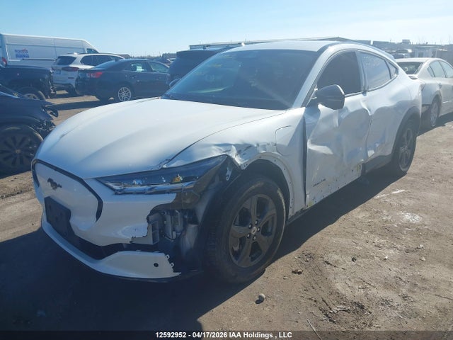Продажа на аукционе авто 2023 Ford Mustang Mach-e Select, vin: 3FMTK1S50PMA82031, номер лота: 12592952