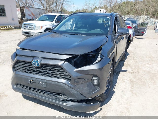 2T3RWRFVXRW240596 Toyota Rav4 Xle/woodland Edition