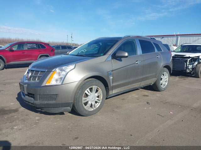 2012 Cadillac Srx Luxury Collection მანქანა იყიდება აუქციონზე, vin: 3GYFNDE30CS509437, აუქციონის ნომერი: 12592987