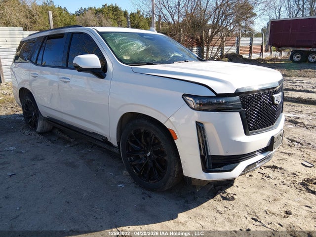 Продажа на аукционе авто 2024 Cadillac Escalade, vin: 1GYS4GKL3RR155237, номер лота: 12593002