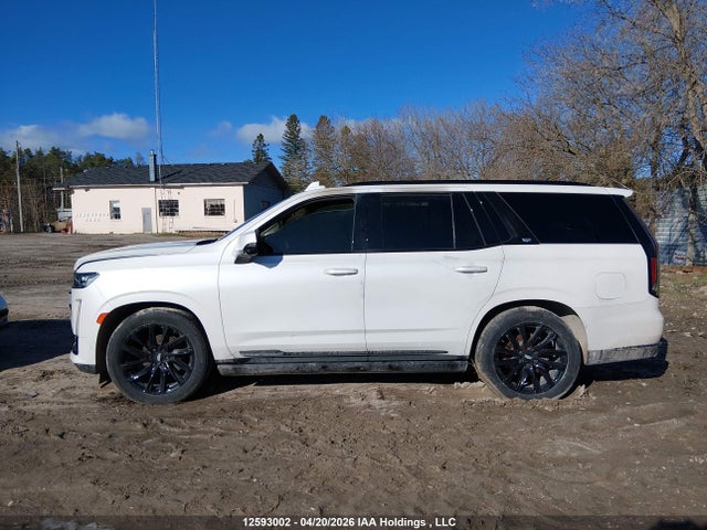 2024 Cadillac Escalade მანქანა იყიდება აუქციონზე, vin: 1GYS4GKL3RR155237, აუქციონის ნომერი: 12593002