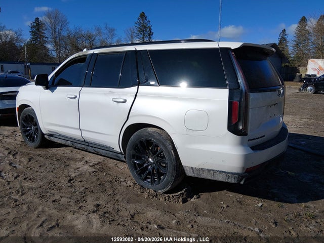 2024 Cadillac Escalade მანქანა იყიდება აუქციონზე, vin: 1GYS4GKL3RR155237, აუქციონის ნომერი: 12593002