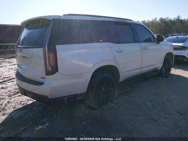 2024 Cadillac Escalade მანქანა იყიდება აუქციონზე, vin: 1GYS4GKL3RR155237, აუქციონის ნომერი: 12593002