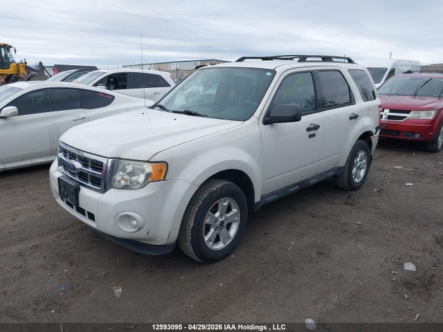 Продажа на аукционе авто 2012 Ford Escape Xlt, vin: 1FMCU9D72CKA18436, номер лота: 12593095