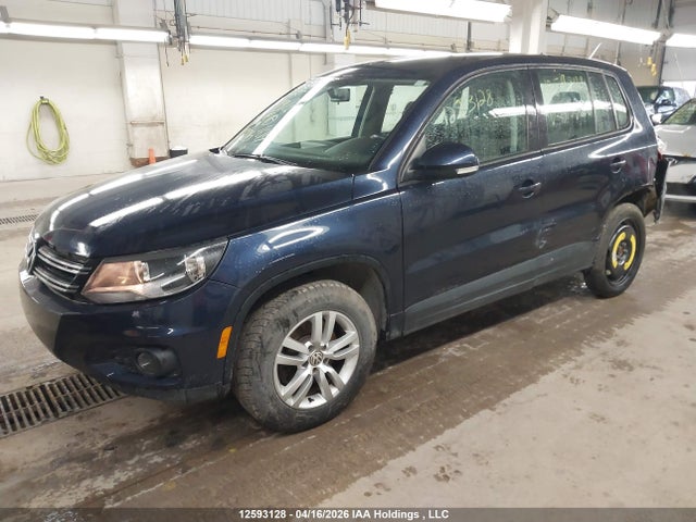 WVGJV3AXXEW513520 Volkswagen Tiguan