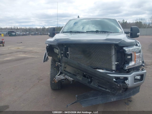 Aukcja sprzedaży 2020 Ford F-150 Xlt, vin: 1FTEW1EP5LFB71957, numer aukcji: 12593201