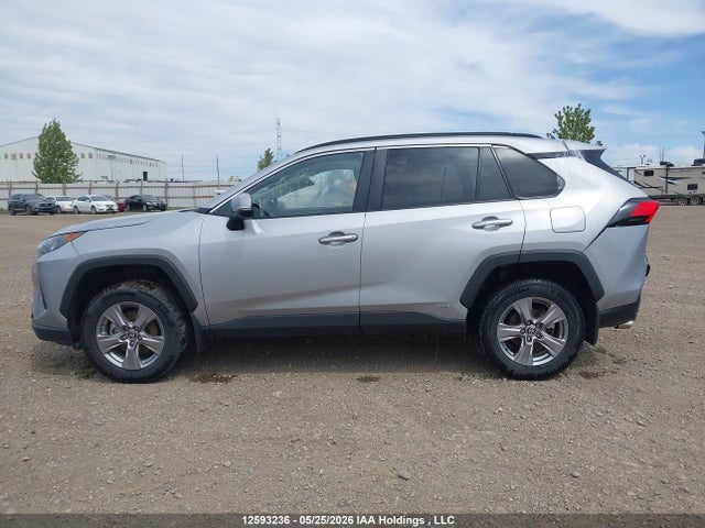 12593236 :رقم المزاد ، 2T3BWRFV7PW183790 vin ، 2023 Toyota Rav4 Le مزاد بيع