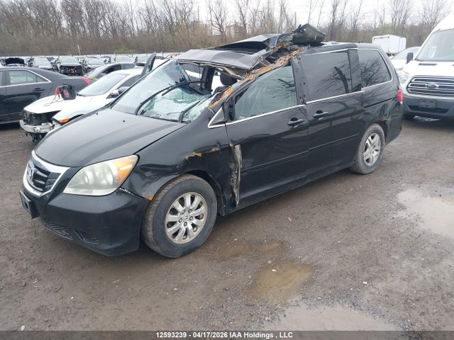 Aukcja sprzedaży 2010 Honda Odyssey Exl, vin: 5FNRL3H75AB006736, numer aukcji: 12593239