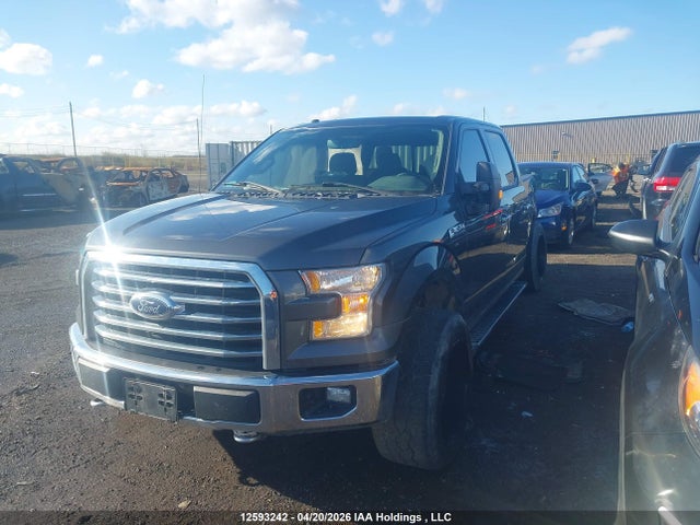 12593242 :رقم المزاد ، 1FTFW1EF9FFB50156 vin ، 2015 Ford F150 Supercrew مزاد بيع