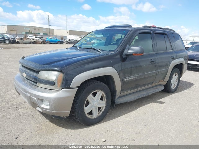 2003 Chevrolet Trailblazer Ls/lt/ltz მანქანა იყიდება აუქციონზე, vin: 1GNDT13S832232180, აუქციონის ნომერი: 12593309