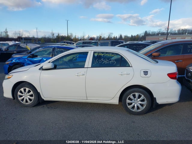 12439338 :رقم المزاد ، 2T1BU4EE4DC038075 vin ، 2013 Toyota Corolla Ce مزاد بيع