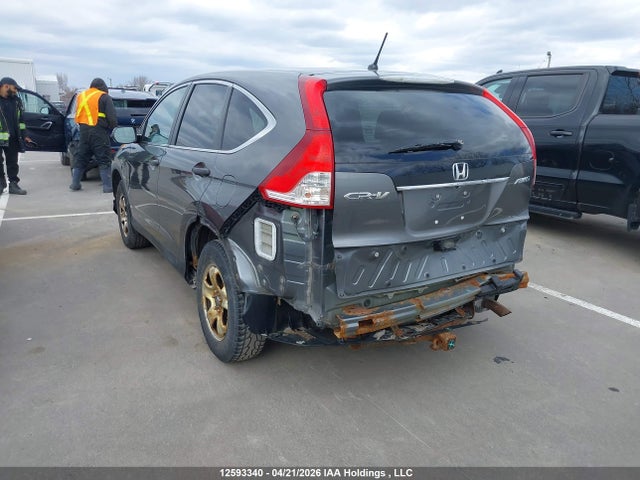 Продаж на аукціоні авто 2014 Honda Cr-v Lx, vin: 2HKRM4H39EH104417, номер лоту: 12593340