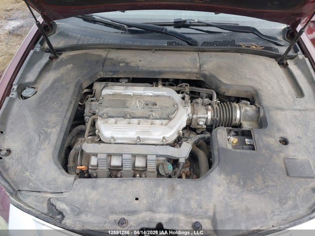 Продаж на аукціоні авто 2010 Acura Tl, vin: 19UUA9F54AA801078, номер лоту: 12591286