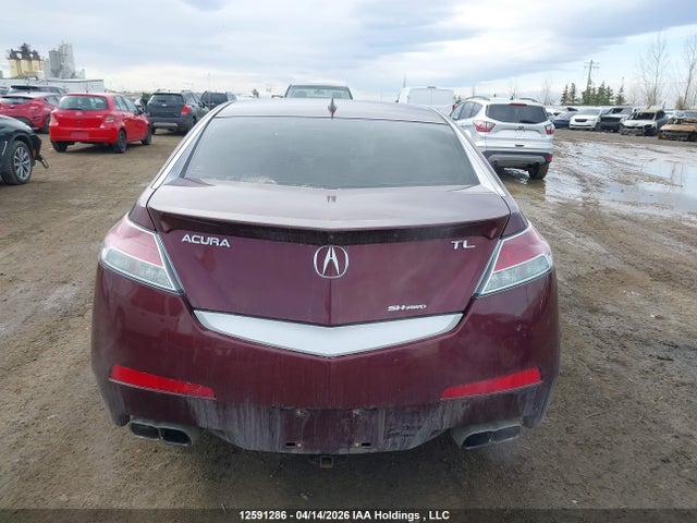 Продаж на аукціоні авто 2010 Acura Tl, vin: 19UUA9F54AA801078, номер лоту: 12591286