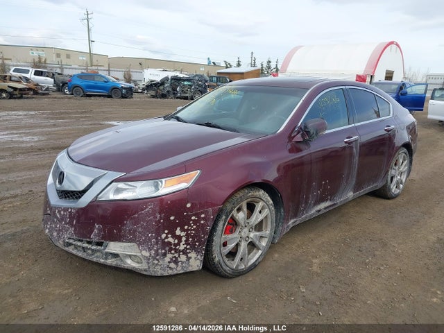 Продаж на аукціоні авто 2010 Acura Tl, vin: 19UUA9F54AA801078, номер лоту: 12591286