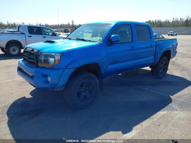 12593415 :رقم المزاد ، 5TELU42N35Z124465 vin ، 2005 Toyota Tacoma Double Cab مزاد بيع