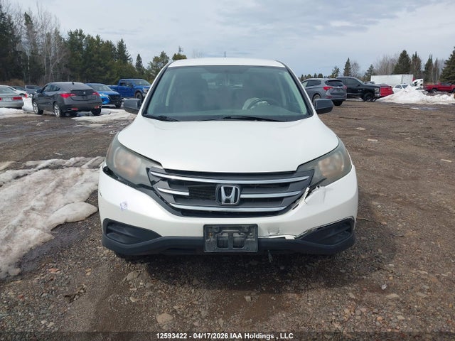 Продаж на аукціоні авто 2013 Honda Cr-v Lx, vin: 2HKRM4H3XDH104294, номер лоту: 12593422