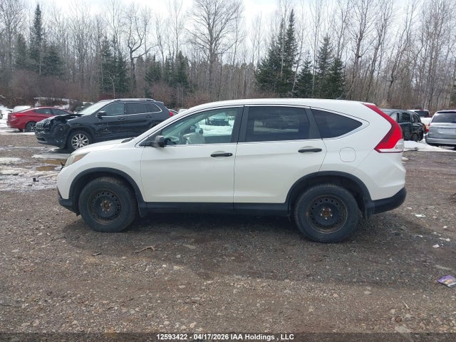 Продаж на аукціоні авто 2013 Honda Cr-v Lx, vin: 2HKRM4H3XDH104294, номер лоту: 12593422