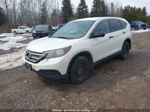Продаж на аукціоні авто 2013 Honda Cr-v Lx, vin: 2HKRM4H3XDH104294, номер лоту: 12593422