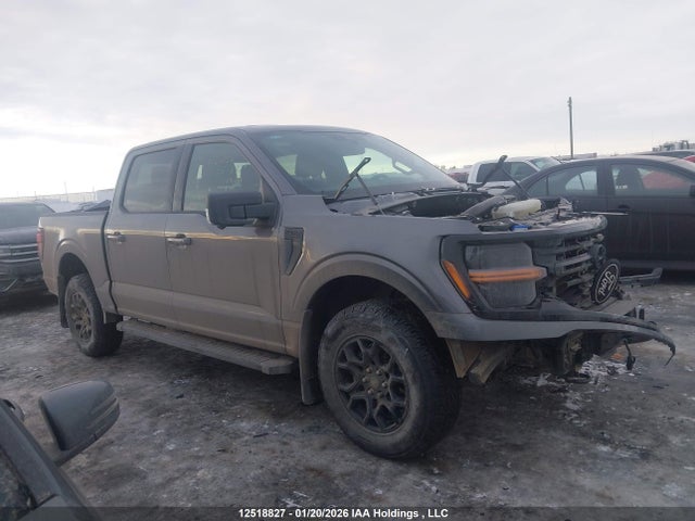 1FTFW3L85RKD10707 Ford F-150 Xlt