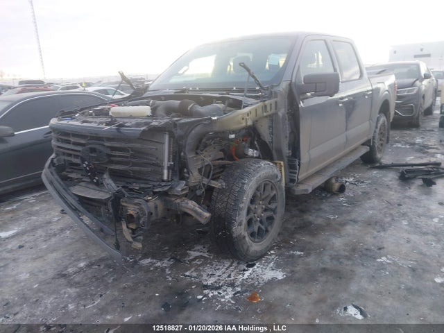 1FTFW3L85RKD10707 Ford F-150 Xlt