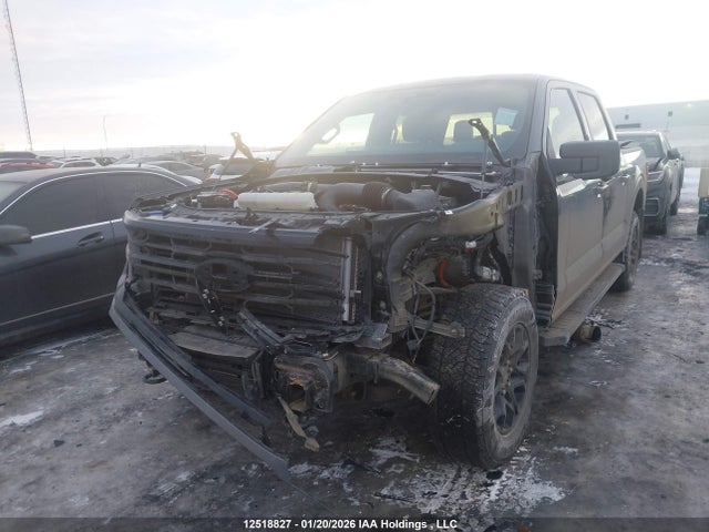 1FTFW3L85RKD10707 Ford F-150 Xlt