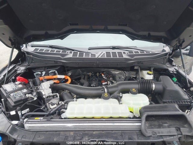 Aukcja sprzedaży 2025 Ford F-150 Xlt, vin: 1FTFW3LD3SFB03924, numer aukcji: 12593459