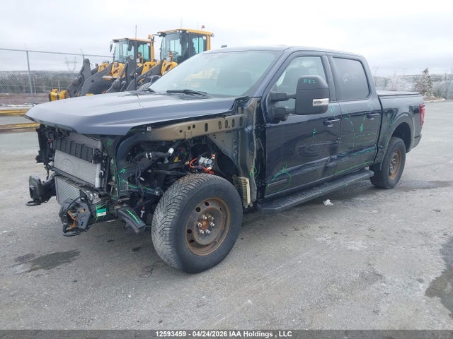 Aukcja sprzedaży 2025 Ford F-150 Xlt, vin: 1FTFW3LD3SFB03924, numer aukcji: 12593459