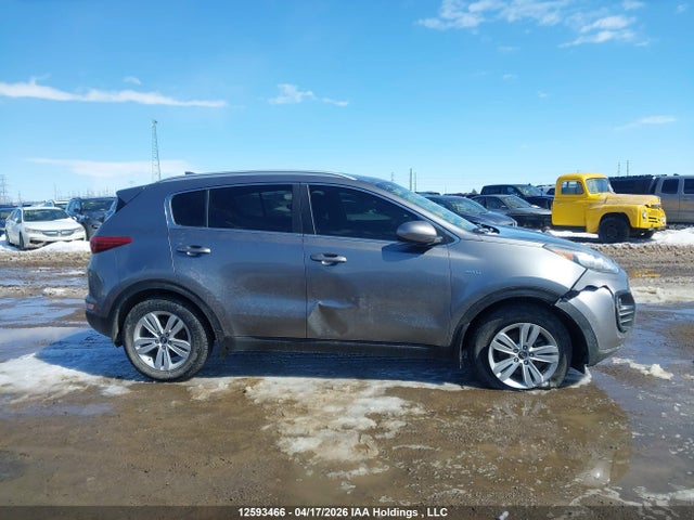 2017 Kia Sportage Lx მანქანა იყიდება აუქციონზე, vin: KNDPMCACXH7105029, აუქციონის ნომერი: 12593466