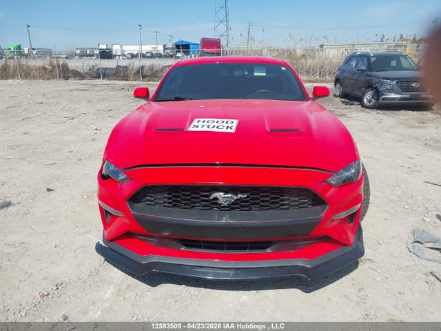 1FA6P8TH6K5105109 Ford Mustang