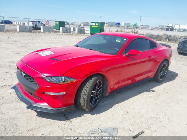 1FA6P8TH6K5105109 Ford Mustang