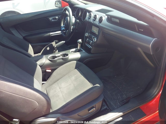 1FA6P8TH6K5105109 Ford Mustang