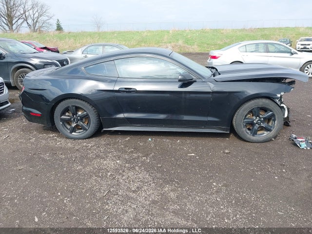 Ford Mustang Ecoboost 2015 1FA6P8TH8F5389252 Image 14