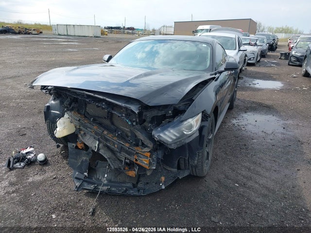 Ford Mustang Ecoboost 2015 1FA6P8TH8F5389252 Image 2