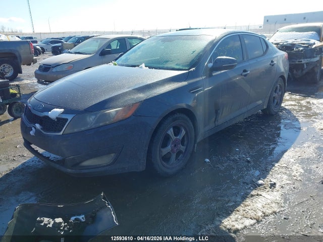 Aukcja sprzedaży 2011 Kia Optima, vin: KNAGN4A79B5213504, numer aukcji: 12593610