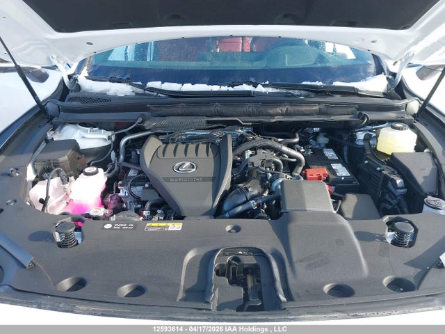 Lexus RX 350 2026 2T2BAMCA1TC132384 Image 10