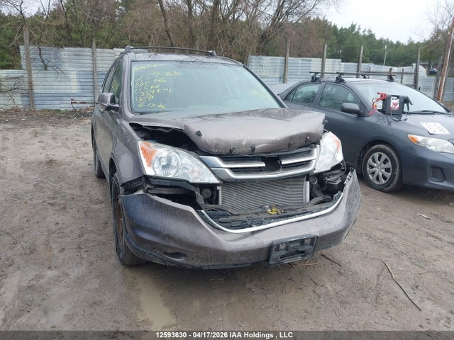 Продажа на аукционе авто 2011 Honda Cr-v Ex, vin: 5J6RE4H53BL805146, номер лота: 12593630