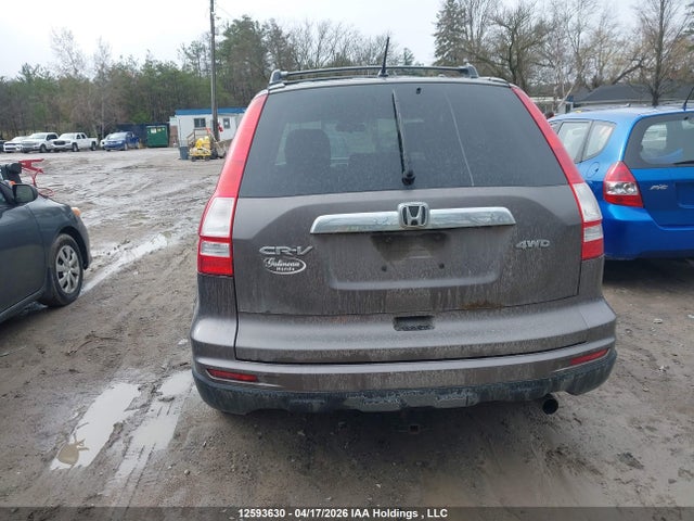 Продажа на аукционе авто 2011 Honda Cr-v Ex, vin: 5J6RE4H53BL805146, номер лота: 12593630