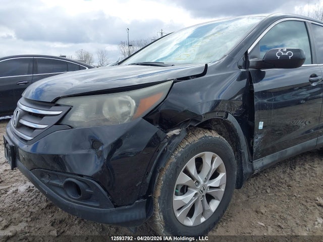 2HKRM3H57EH003663 Honda CR-V EX