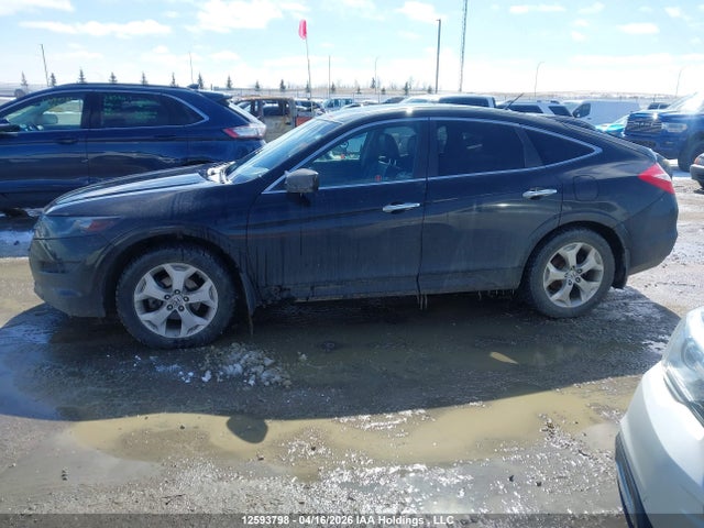 Продаж на аукціоні авто 2010 Honda Accord Crosstour Ex-l, vin: 5J6TF2H57AL801767, номер лоту: 12593798